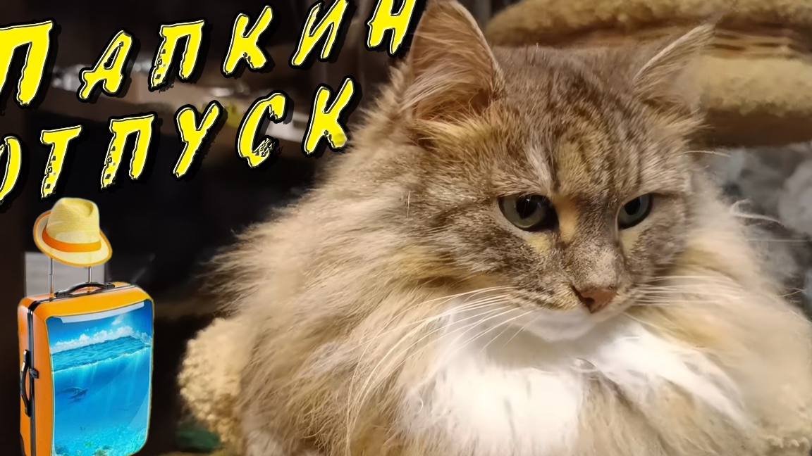 Папкин отпуск. смотреть онлайн