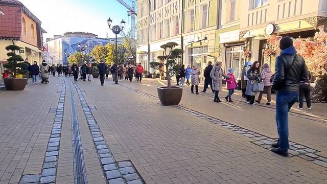 Зеленоградск. Город котов смотреть онлайн