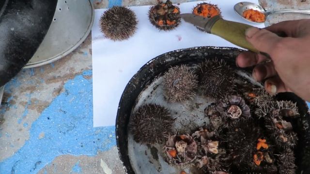 !!!ИКРА МОРСКОГО ЕЖА!!!ДЕЛИКАТЕСЫ БЕСПЛАТНО смотреть онлайн