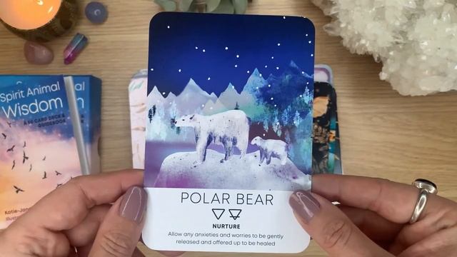 Spirit Animal Wisdom Cards by Katie-Jane Wright Walkthrough смотреть онлайн