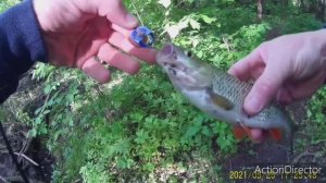 Блесна на голавля из пивной банки. Приманка за 3 минуты