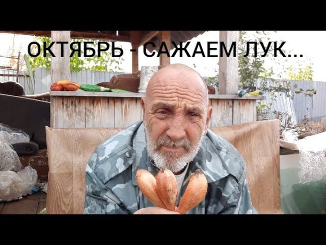 посадка лука подзиму.... смотреть онлайн