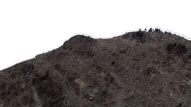 Как охотятся в Монголии и Казахстане с беркутами. Фестиваль беркутчей.