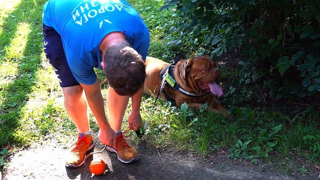 Забег «5 Вёрст» в Сосновке | Интервью с участниками смотреть онлайн