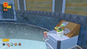 Peach's Fury - Full Game Walkthrough (Bowser's Fury)