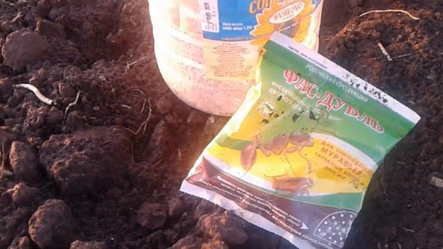 Табачные грядки смотреть онлайн