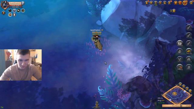 Albion Online ёжик в тумане