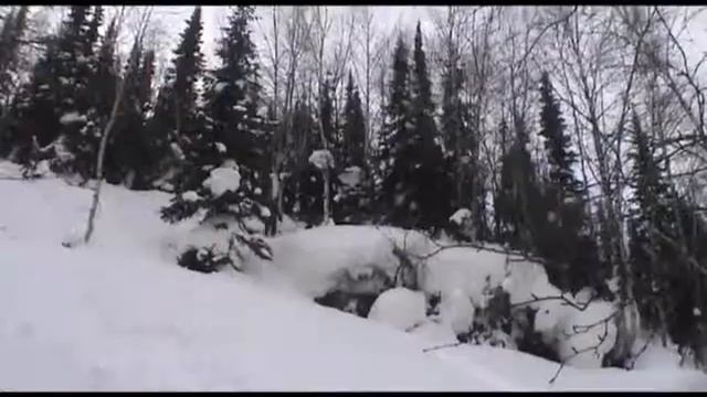 XTru смотреть онлайн