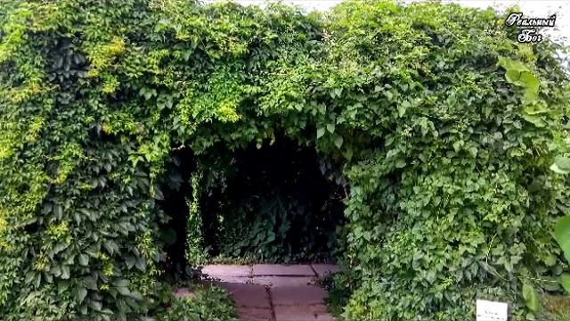 16-й выпуск. Как услышать ответ от Бога. Александров Александр смотреть онлайн