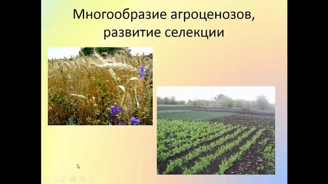 Биология. 9 класс. Влияние человеческой деятельности на эволюцию. Людмила Ивановна. Profi-Teacher.r смотреть онлайн