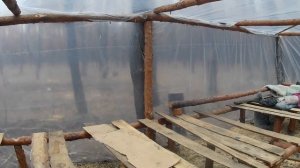 Изба Адвоката Егорова.