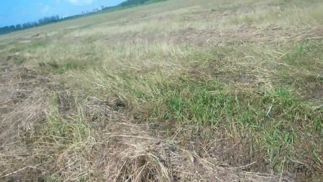 Заготовка сена,ответы на вопросы смотреть онлайн