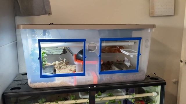 DIY Enclosure Test смотреть онлайн