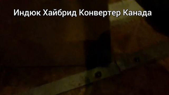 Как выглядит яйцо бройлера КОББ-500  и индюк Хайбрид Конвертер.