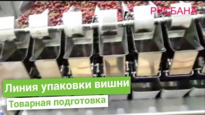 Упаковка в трейсилер вишни | Линия с мультиголовочным весовым дозатором и трейсилером