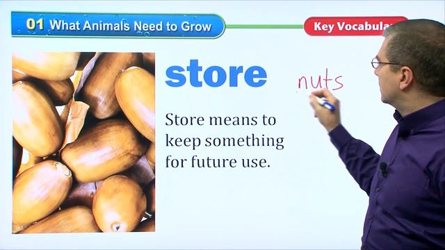 6 Important English Vocabulary Words with pictures I Science 2. L01.What Animals Need to Grow смотреть онлайн