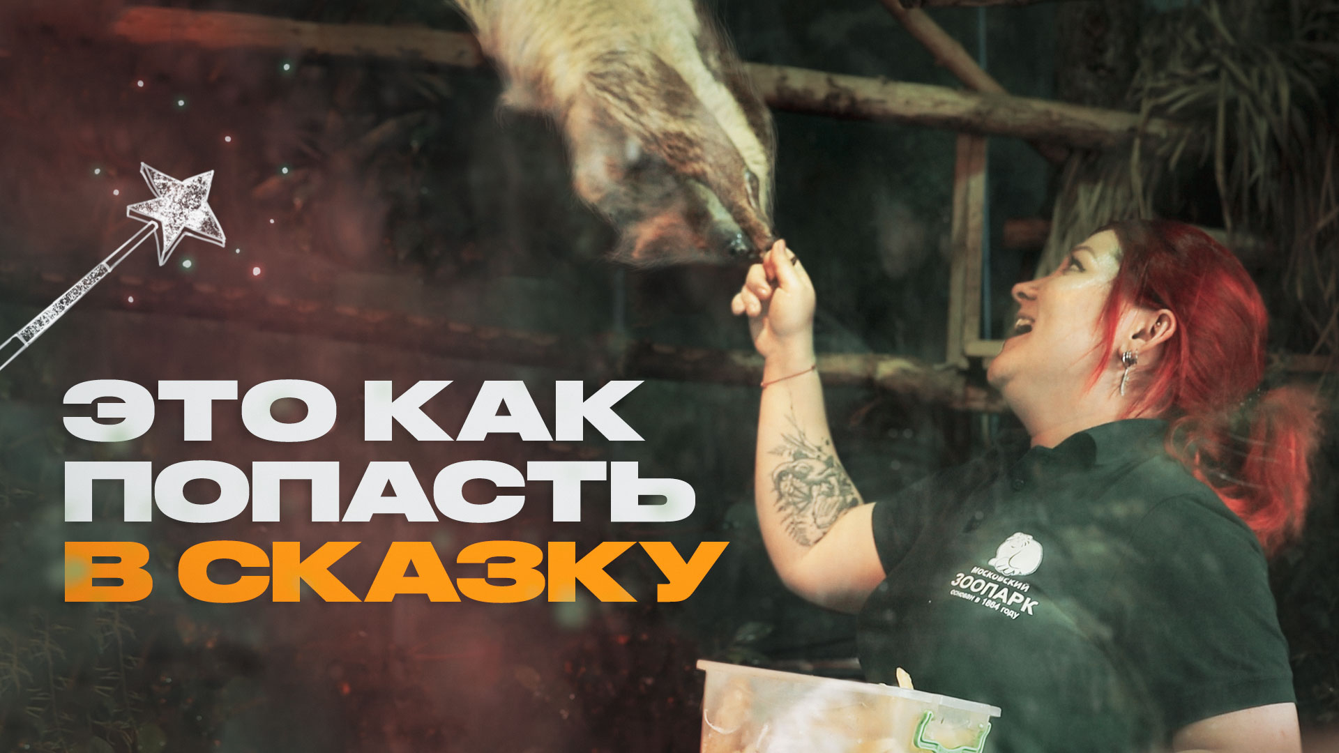 Всё, что вы не знали о работе в зоопарке смотреть онлайн