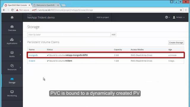 Using Trident for Dynamic Storage Provisioning with OpenShift смотреть онлайн