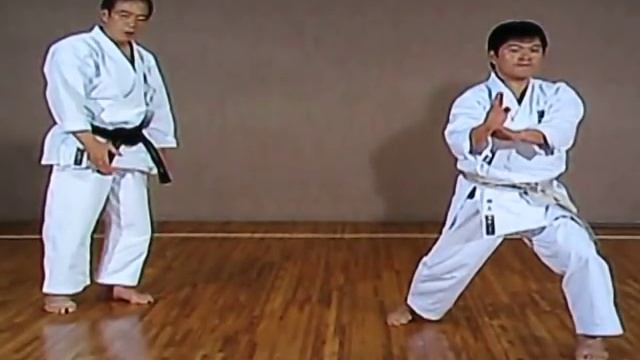 Hirokazu Kanazawa 10 Dan - Kata BASSAI DAI - S.K.I.F. смотреть онлайн