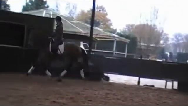 Выездковые №29 смотреть онлайн