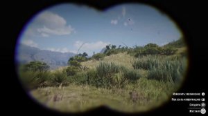 Red Dead Redemption 2 где найти Мустанга