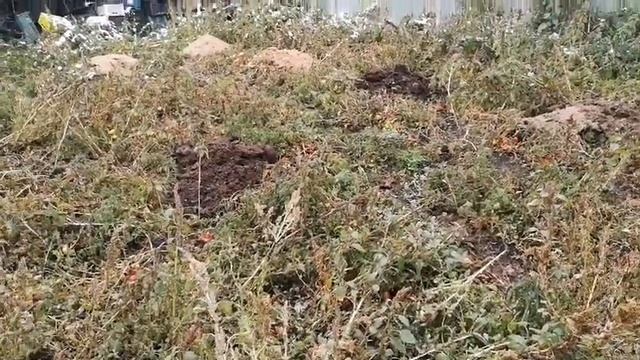 Подготовка грядок к посадке лука. Сезон 22/23 смотреть онлайн