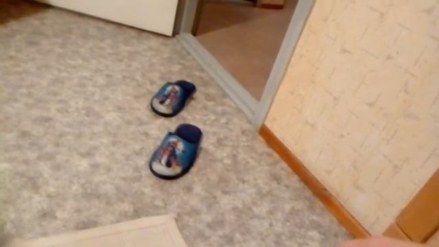 Тапки ходят сами! Что за дичь!? смотреть онлайн