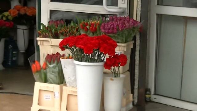 Прогулка по ленинскому проспекту Калининград смотреть онлайн