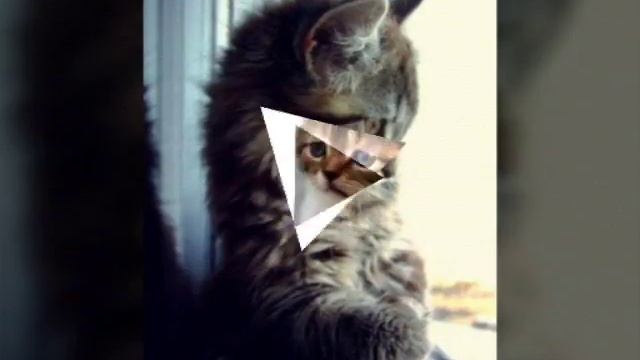 Клип "Котенок в колодце" смотреть онлайн