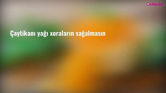 Çaytikanı Yağı Nədir? - Çaytikanı Yağının FAYDALARI