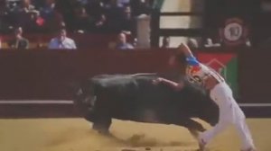 Коррида. Интересно.