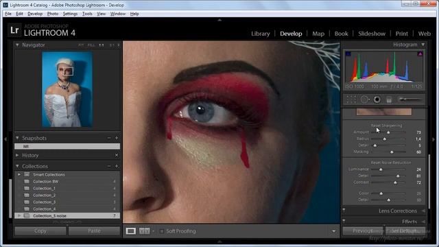 Урок 6 Работа в модуле Develop Часть 2 Lightroom 4 смотреть онлайн