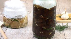 Как правильно солить грузди, чтобы они сверху не заплесневели, даже если Вы уже открыли банку?