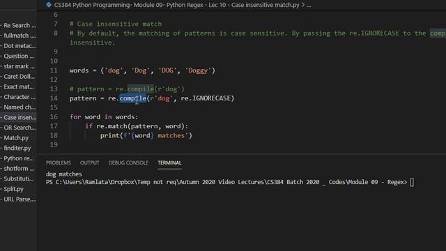 CS384 Python Programming Module 09 Python Regex Lec 10 Case insensitive match смотреть онлайн