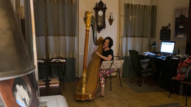 Эрик Сати. Gnossienne No. 3 смотреть онлайн