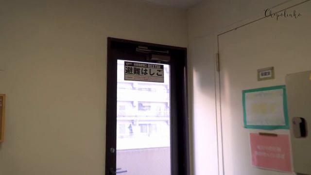 УЧЕБА В ЯПОНИИ IT Колледж - Школа японского языка Meise ( 2019 ) смотреть онлайн