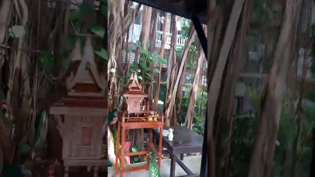 Splendid resort 3* Паттайя смотреть онлайн