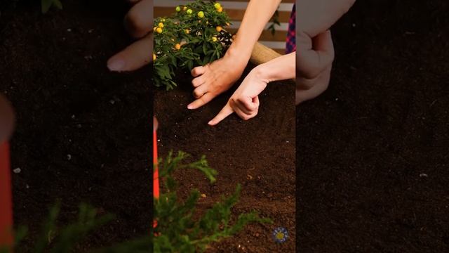 МИНИАТЮРНАЯ ЕДА И ДРУГИЕ РЕАЛИСТИЧНЫЕ ПОДЕЛКИ смотреть онлайн