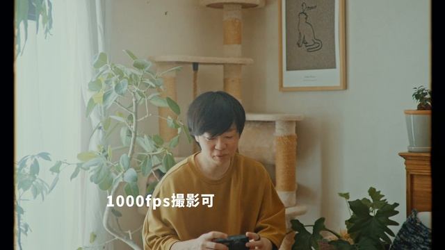 1万円でオールドコンデジ買って動画撮ってみた【CASIO EX-ZR1000レビュー】 смотреть онлайн