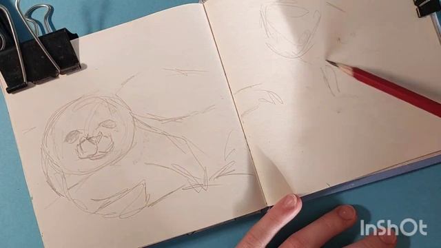 CHALLENGE ANIMALS.Рисуем животных.Подготовка к челленджу. 1часть- НЕРПА, ИГУАНА смотреть онлайн