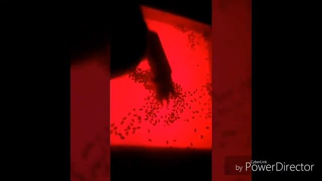 Сенсорный стол. Световая песочница. Играем и развиваемся. Семья Пермяковых смотреть онлайн