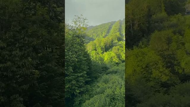 #сочи #россия #путешествие #краснаяполяна #газпром #shorts