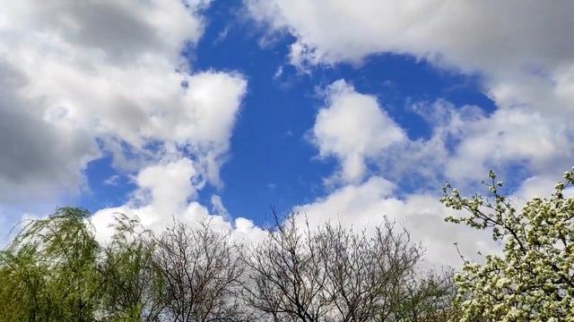 12 достойных решений, которые стоит принимать каждый год. смотреть онлайн