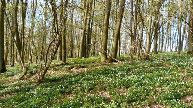 [040]? Разбудить счастье смотреть онлайн