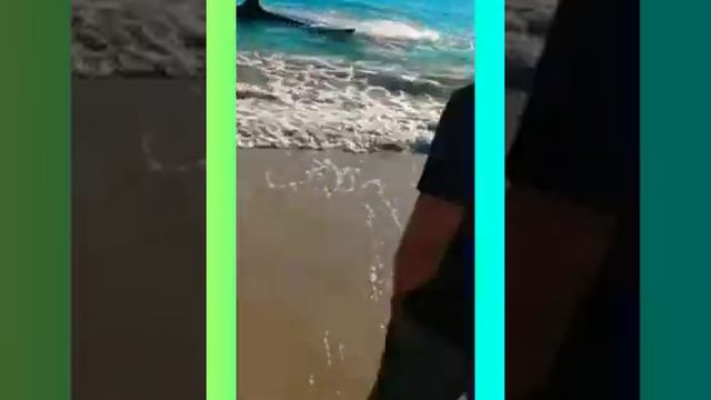 Акула подплыла близко и села на мель смотреть онлайн