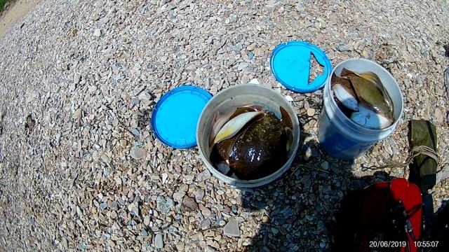 Наловили камбалу, Японское море смотреть онлайн