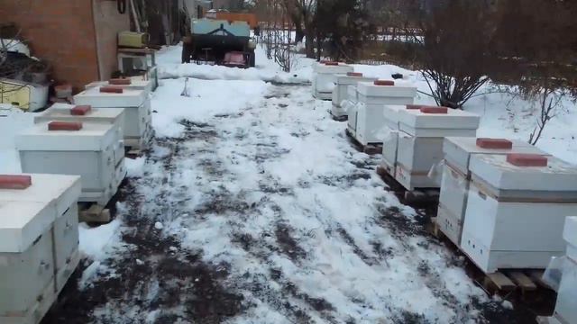 конец января после морозов резкое потепление смотреть онлайн