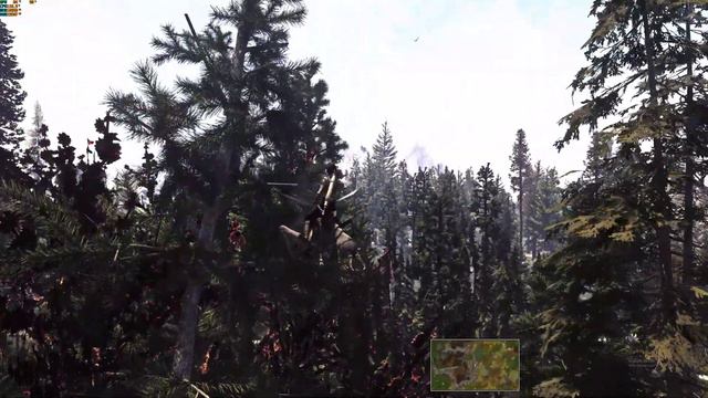 Skyrim SE AE Tree Cover смотреть онлайн
