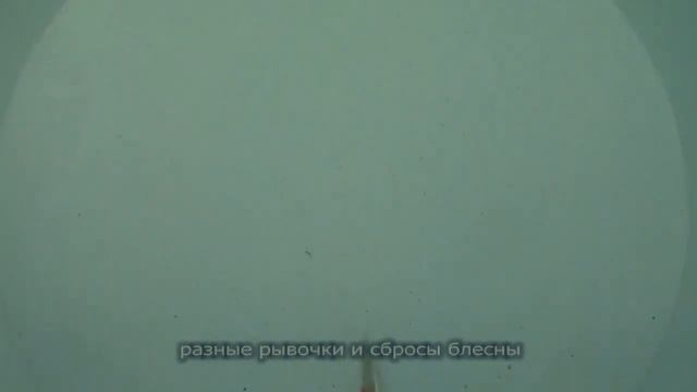 Зимняя блесна "Скат" - 30 мм смотреть онлайн