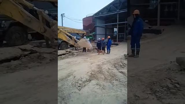 Собака и экскаватор) смотреть онлайн